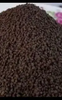 چایی کله مورچه ای
