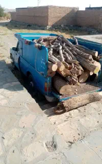خریدار چوب سقفی کهنه و کنده هرس