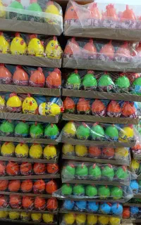تولیدی شانسی جوجه خروس