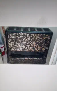 بخاری نو نو