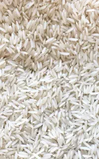 برنج فجر سوزنی عطر طمع بی نظیر