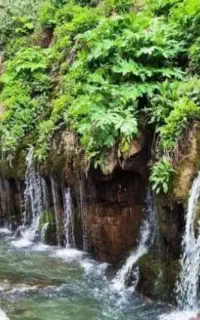 تور گردشگری شادی ونشاط تو دل طبیعت