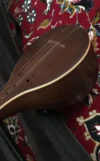سه تار ناصری