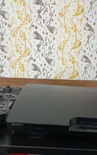 ps3