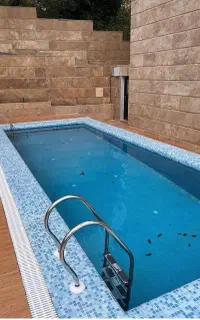پله استخری/نردبان استخر
