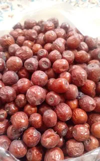 عناب شیرین  سربیشه