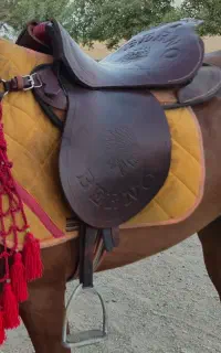 زین طرح برنو