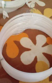رگال