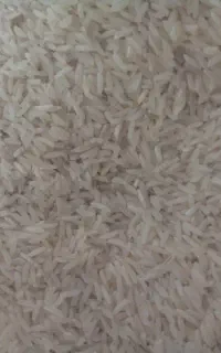 برنج طارم هاشمی اعلا درجه یک