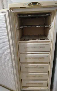 فریزر پارس