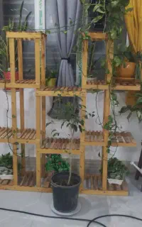 استند گل