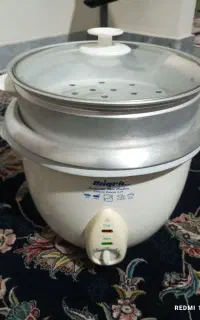 پلوپزبرقی