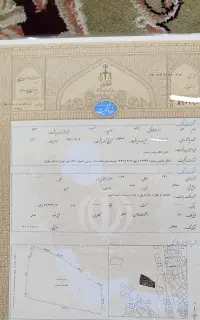 باغ ۳۸۰۰ متری سند تک برگ