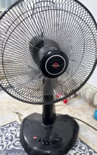 پنکه