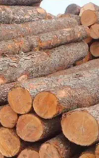 خریدار چوب درخت وچوب ساختمان های قدیمی