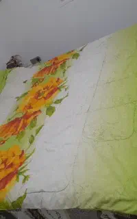 روتختی ترک‌ .