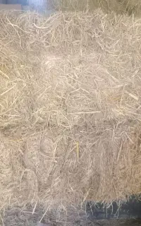 کاه