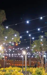 ریسه ال ای دی