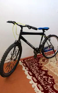 دوچرخه در حد نو
