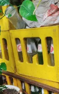 شیشه نوشابه زمزم جدید