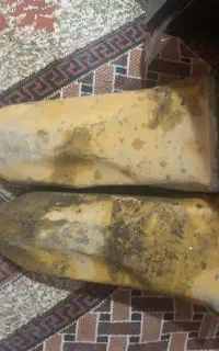 ناخن ITR بیل400