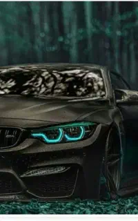 آموزش رانندگی مخصوص بانوان