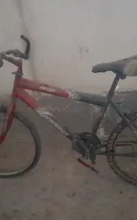 دوچرخه