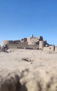 فروش خرما مضافتی مرداب سنگ و... بم و جیرفت