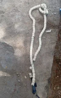 دعا نویس