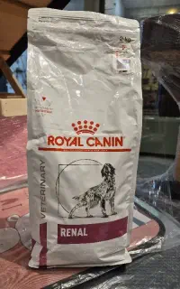 رنال رویال کنین سگ