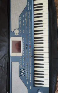 ارگ pa800