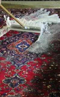 قالیشویی حقیقت