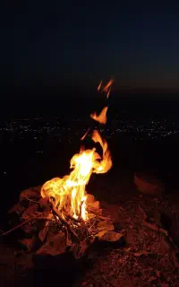 تارتخوان پیدا شده