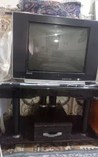 تلوزیون
