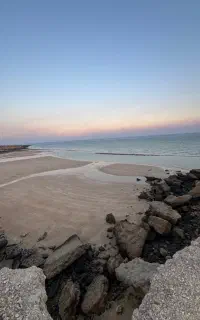 تور ماهی بزرگ