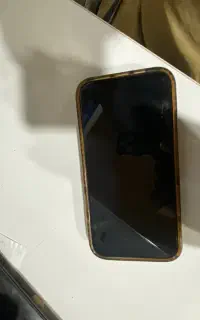 13پرومکس