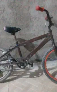 یک عدد دوچرخه