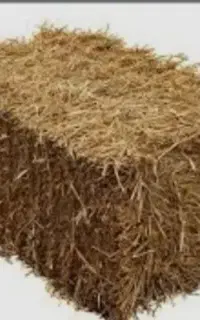 پرس گندم جو