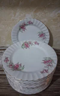 بشقاب چینی نو بدون پریدگی