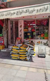 غذاخشک مفید حمایتی