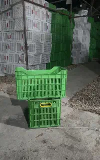 سبد ۲۵ کیلویی مواد نو