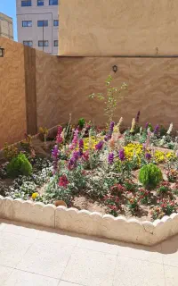 باغبان اصفهان