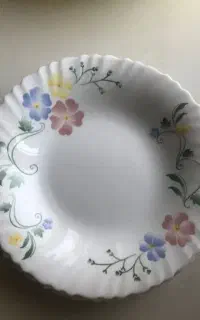 ارکوپال امارات