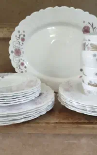 ارکوپال