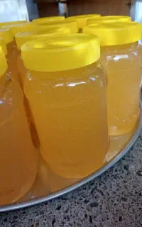 عسل طبیعی