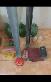 آبخوری دانخوری قفس