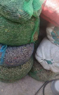 کلکسیون.
