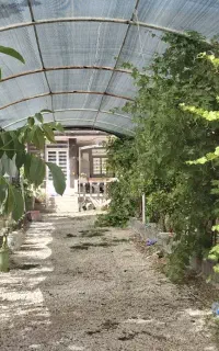 باغ بهشت باغچه