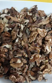 گردو فسنجونی