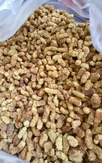 توت خشک